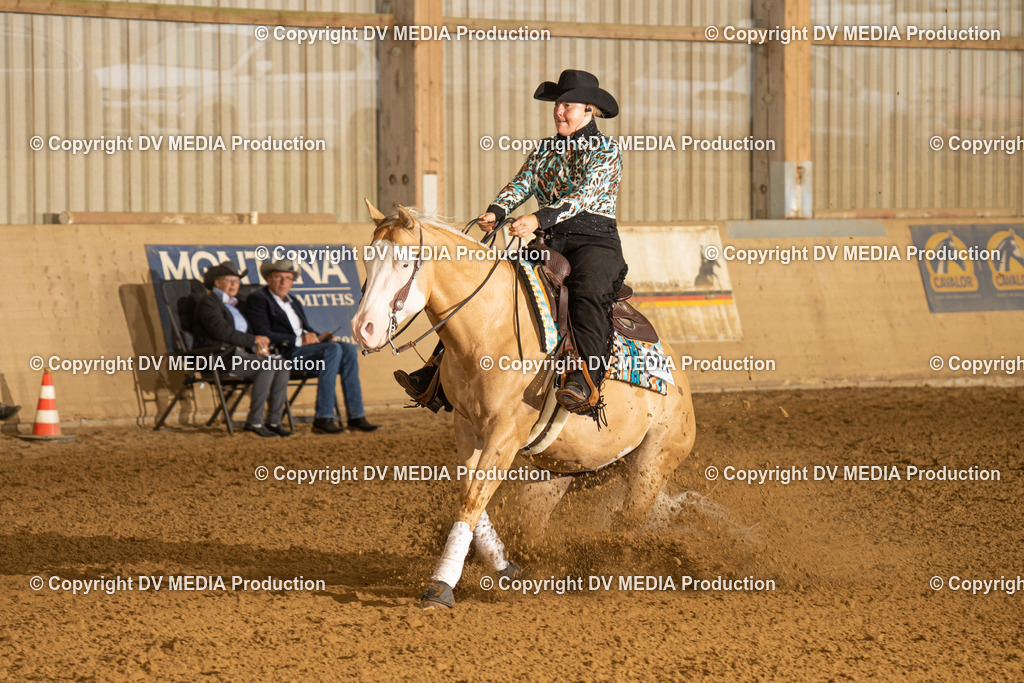 LAU00291 | dv-media-shop - Realisiert mit Pictrs.com