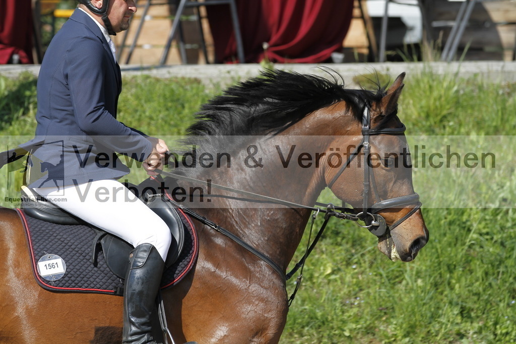 _MG_6746 | equestrian-live-com