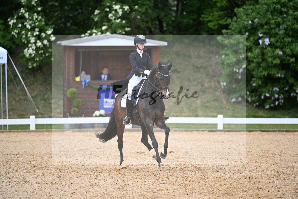 Soeder_Shosholoza_26262522 | hf-fotografie - Realisiert mit Pictrs.com