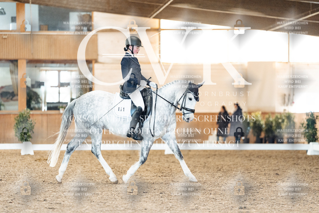 CK907756 | Turnierfotografie Pferdefotografie Trier Rheinland-Pfalz Pferdesport Reitsport Tierfotografie Sportfotografie Pferdevideo Pferdevideografie Equestrianvideography equestrianphotography  - Realisiert mit Pictrs.com