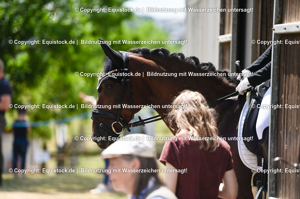 20230716_03_Dressurprfg. Kl.L - Tr._0088 | equistock