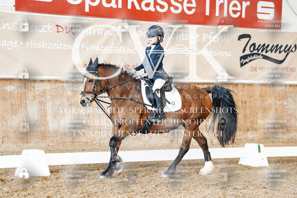 CK900507 | Turnierfotografie Pferdefotografie Trier Rheinland-Pfalz Pferdesport Reitsport Tierfotografie Sportfotografie Pferdevideo Pferdevideografie Equestrianvideography equestrianphotography  - Realisiert mit Pictrs.com