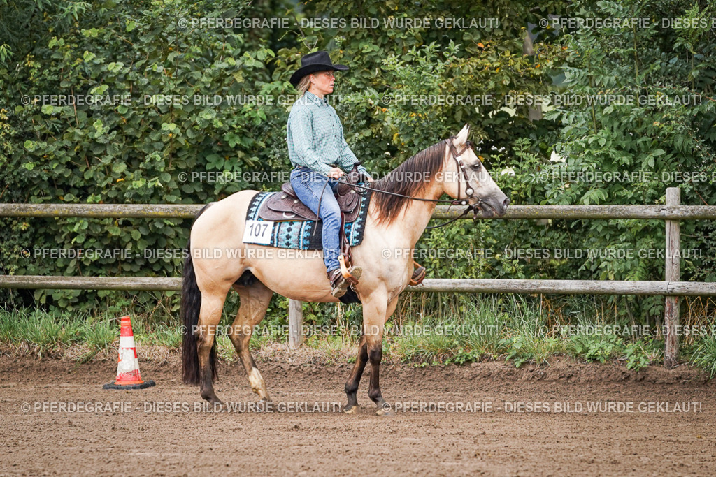 DSC05573 | Pferdegrafie