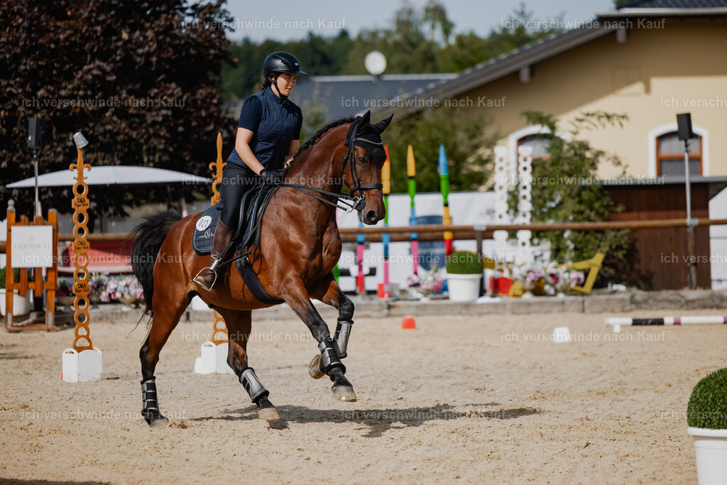 Nadine22_FHC2025-109 | working equitationturnier fotograf videograf stoibphotography marixx film working equitation deutschland reitsport turnierfotografie eventfotografie equestrian events