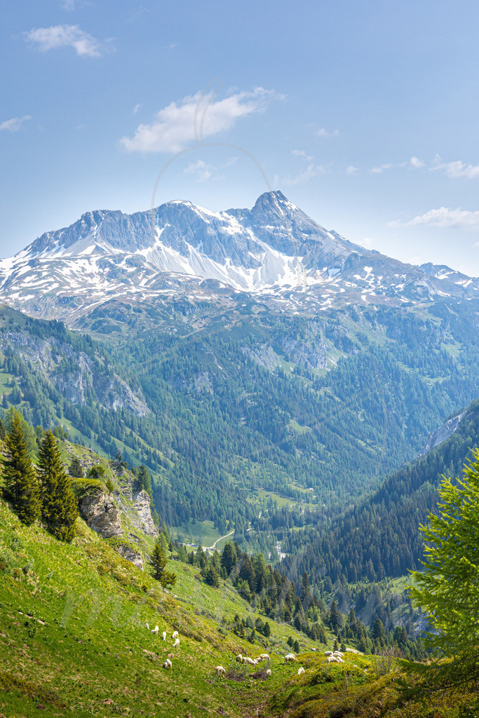 Mosermandl | Bei Veröffentlichung des Bildes ist eine Namensnennung wie folgt erforderlich: Foto: Mostdirn Irmgard Wieser  - Realisiert mit Pictrs.com