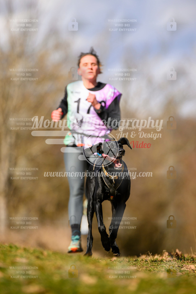 MompixPhotography_10Schwabentrail2026_SO_Canicross-80 | PayLife