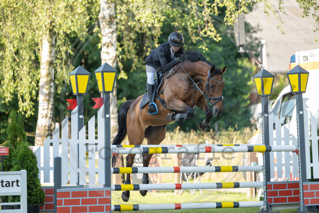 994A3950 | sabrinanicolaifotografie - Realisiert mit Pictrs.com