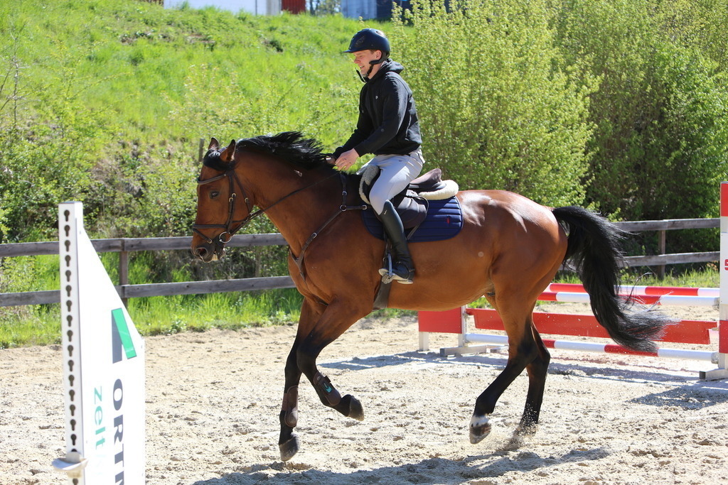 DL2Q3118 | Willkommen bei Brunnmayr - Design & Fotografie – Ihrem Spezialisten für Reitturniere und Pferdeveranstaltungen in Oberösterreich, Salzburg und Bayern! Seit über 17 Jahren sind wir leidenschaftlich dabei.