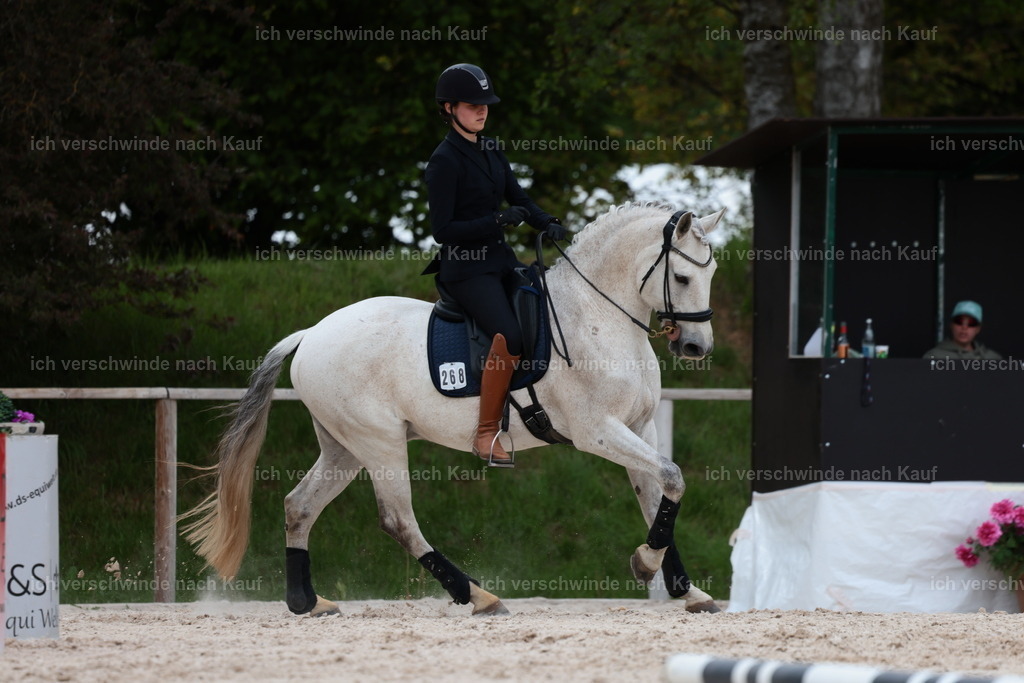 PI26_ST_StoibphotographyC2_L8739.JPG | working equitationturnier fotograf videograf stoibphotography marixx film working equitation deutschland reitsport turnierfotografie eventfotografie equestrian events