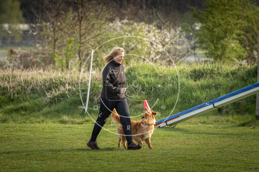 Pfotenfotografie_DV3A4862 | Hundefotografie, Tierfotograf, Pfotenfotografie, Fotoshooting Hund, Hunde Portrait, Hundesport, Hundeportraits, Heideshooting, Hunde, Sportfotograf, Hundefotograf, Turnierhundsport, THS,  - Realisiert mit Pictrs.com