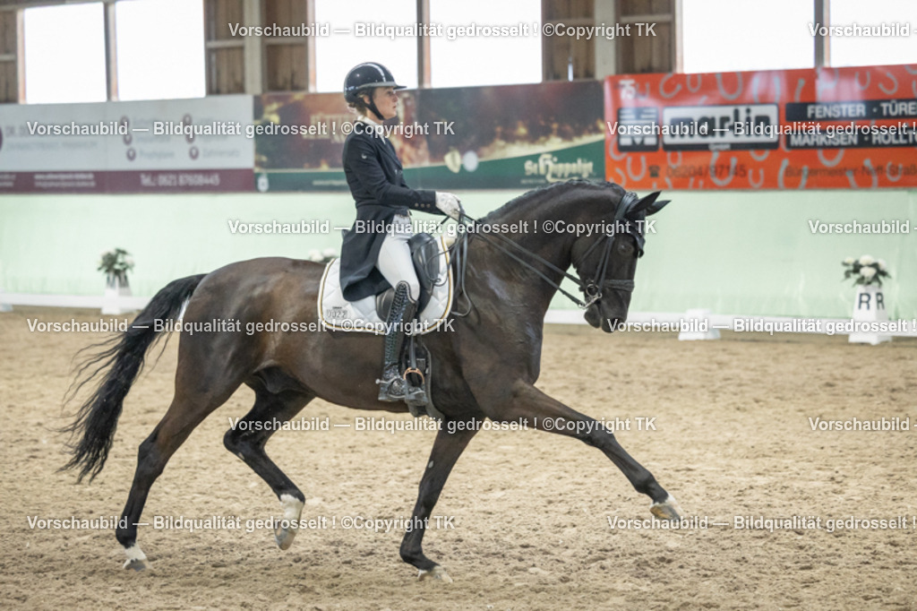 _D5A6964 | Emotionale Pferde- & People-Fotografie rund um Heidelberg, Leimen & Umgebung. Natürliche Fotos von Pferd, Mensch & Familie. Jetzt Termin sichern!