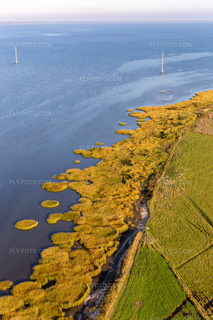 Aerial view: Wadden Sea National Park in Fanø in the state South Denmark, Denmark.Photo: IMG_118854.jpg taken on 09/21/2019 by Werner Riehm/FLY-FOTO.comResolution of the original: 3566 x 5349 px
