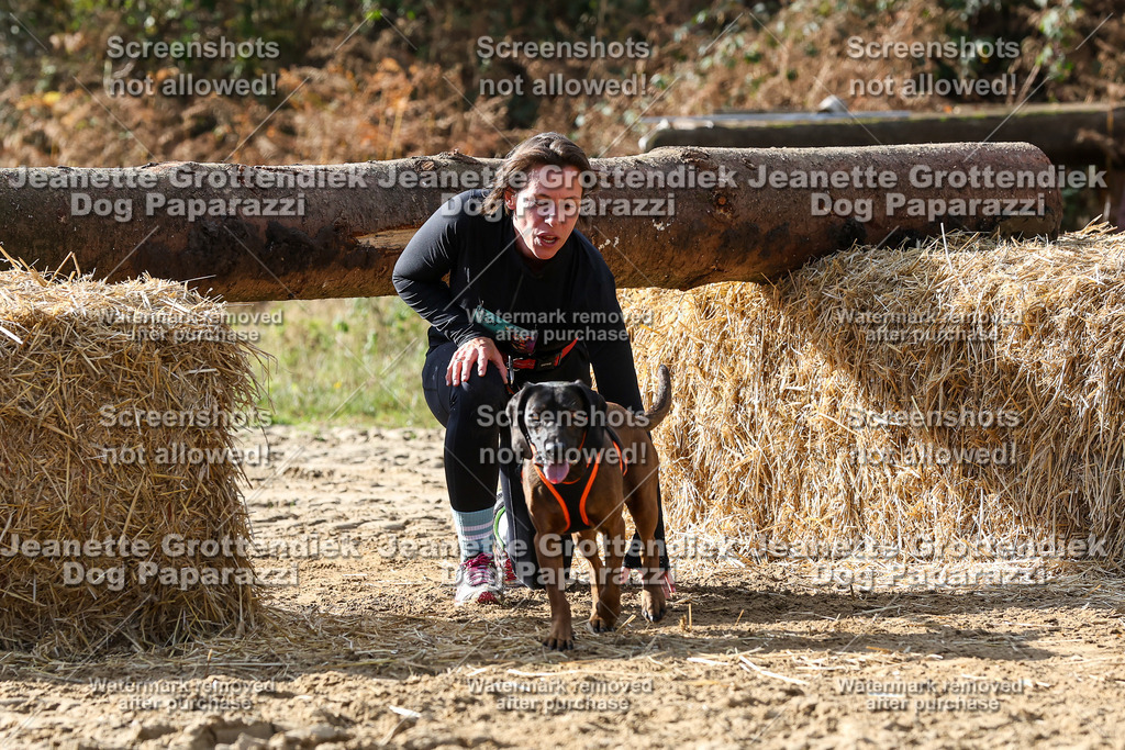 Dog Paparazzi - Strongdog 10-25-5753 | Dog Paparazzi Jeanette Grottendiek Fotografie & Videografie - Realisiert mit Pictrs.com