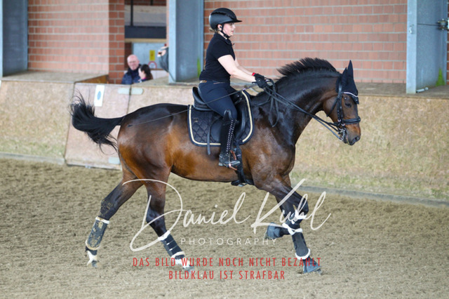 DKP42974 | Turniersportfotografie; Pferdefotografie; Dressurfotografie