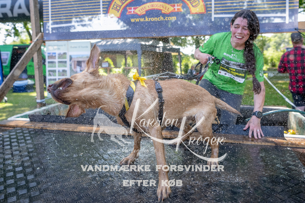 1503_ZZ90090 | kk-dogfotos