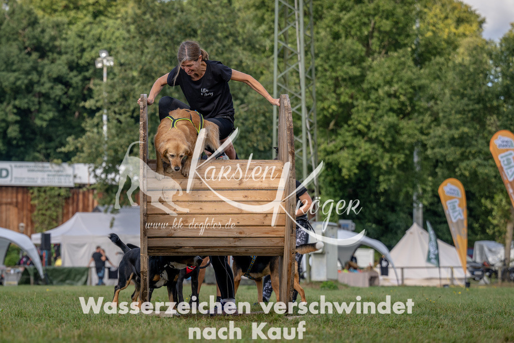 1026_ZZ92231 | kk-dogfotos