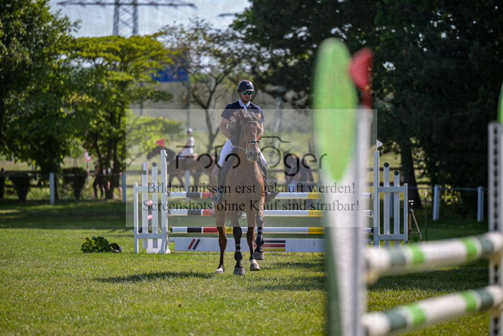 Reitturnier Voxtrup | Entdecke hochwertige Reitturnierfotos von Foto Oger. Professionell, emotional und authentisch – jetzt Lieblingsmomente im Shop bestellen.Deutschlandweite Turnierfotografie. - Realisiert mit Pictrs.com