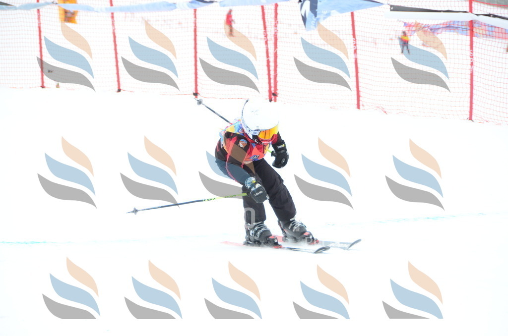 DSC_1497 | holidayphoto