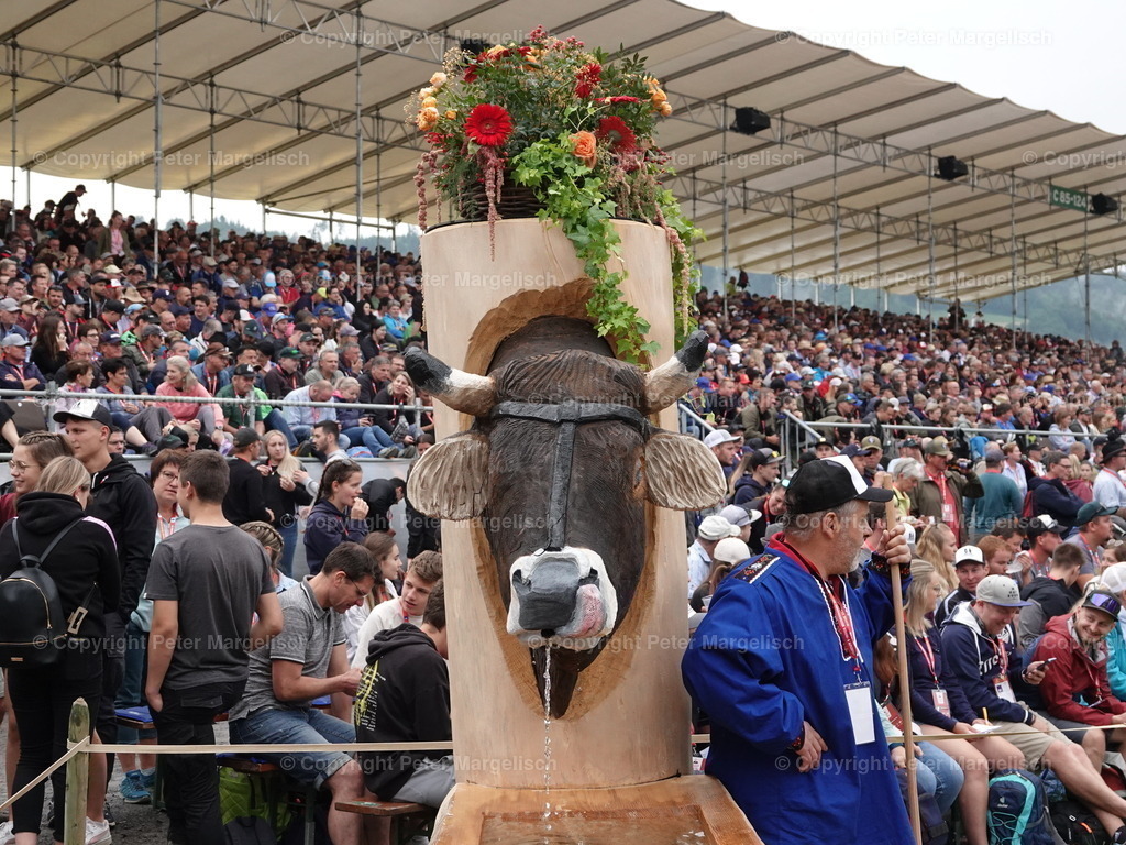DSC04882 | Schwingen - Realisiert mit Pictrs.com
