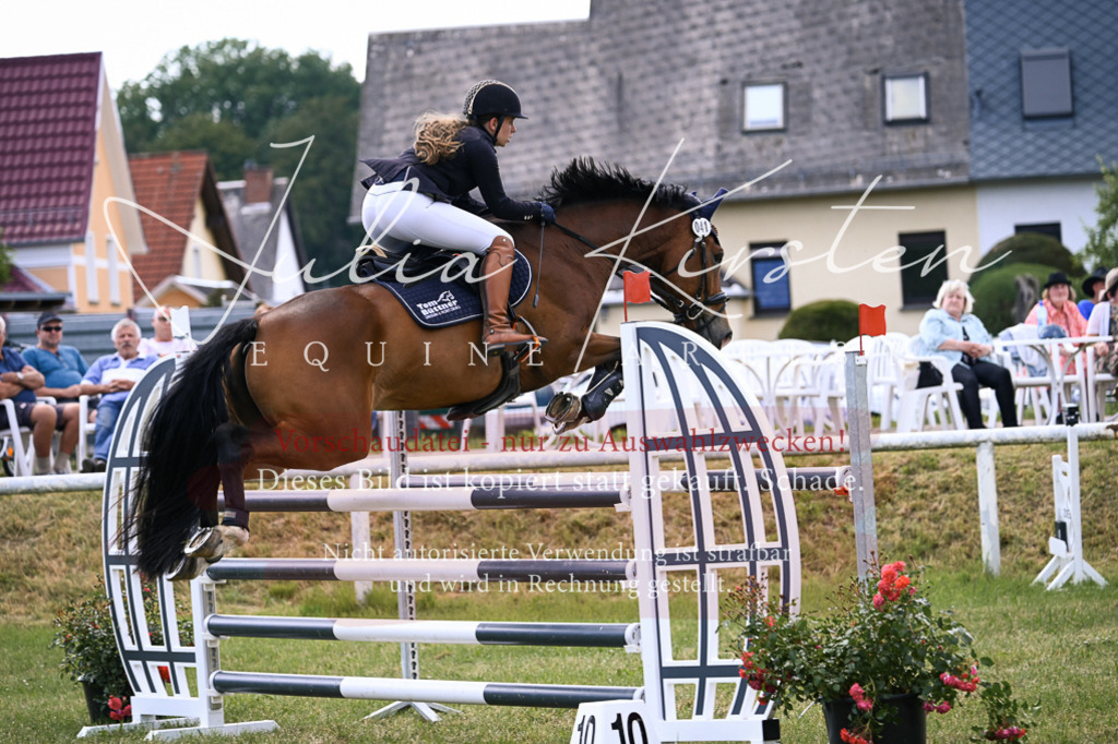DSC_0921 | Pferde- und Turnierfotografie in Westsachsen. Pferdeportraits, Auftragszeichnungen und intuitive Kunst.