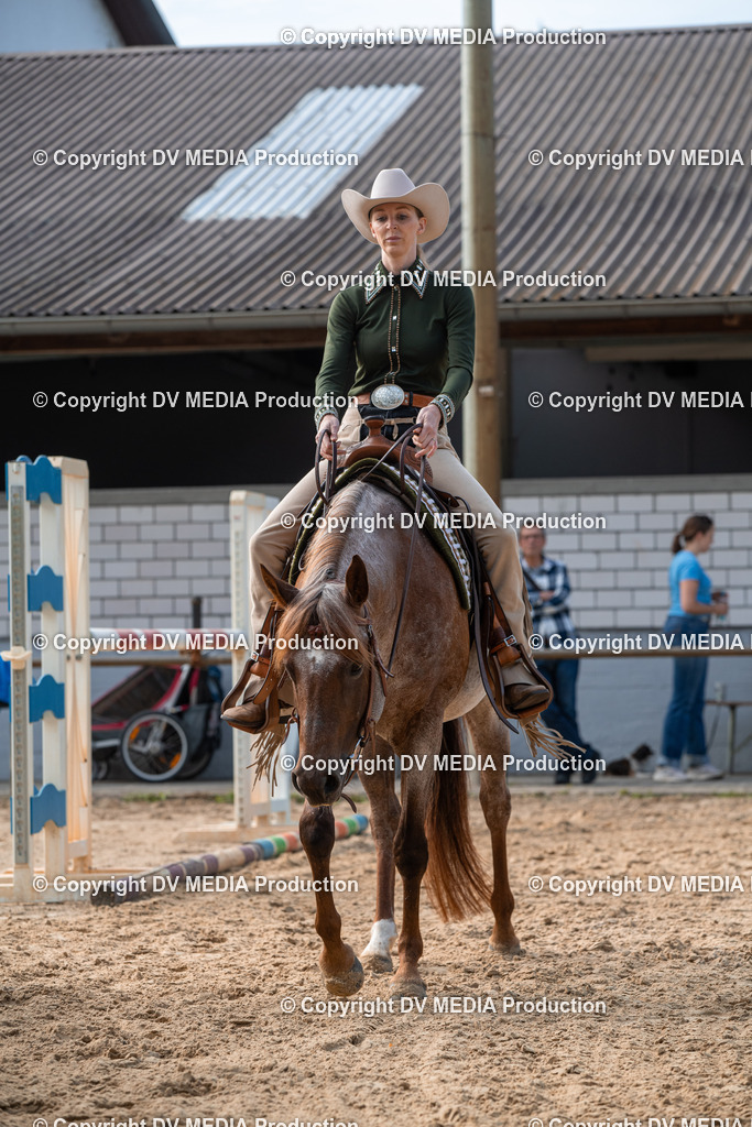 EWP_5741 | dv-media-shop - Realisiert mit Pictrs.com