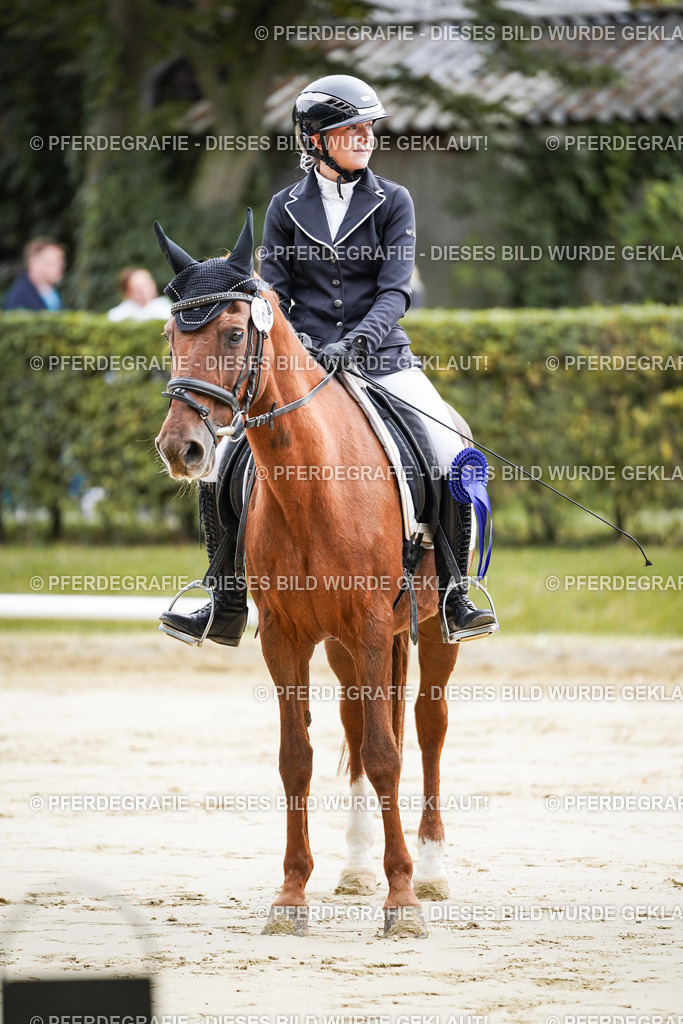 DSC04992 | Pferdegrafie