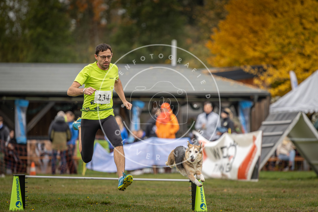 Pfotenfotografie_DV3A4857 | Hundefotografie, Tierfotograf, Pfotenfotografie, Fotoshooting Hund, Hunde Portrait, Hundesport, Hundeportraits, Heideshooting, Hunde, Sportfotograf, Hundefotograf, Turnierhundsport, THS,  - Realisiert mit Pictrs.com