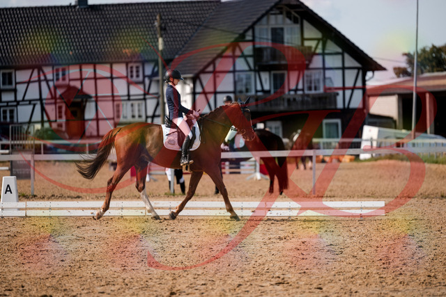 2026_10_03_Siefer-Hof_132902_Z63_90931148 | Professionelle Reitsport-, Turnier- und Eventfotografie von Robert Broda. Galerien mit ausgewählten und bearbeiteten Bildern direkt online ansehen und bestellen.