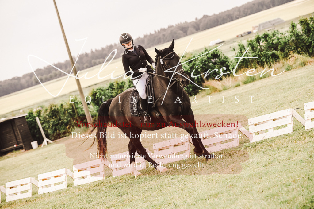 DSC_4938 | Pferde- und Turnierfotografie in Westsachsen. Pferdeportraits, Auftragszeichnungen und intuitive Kunst.