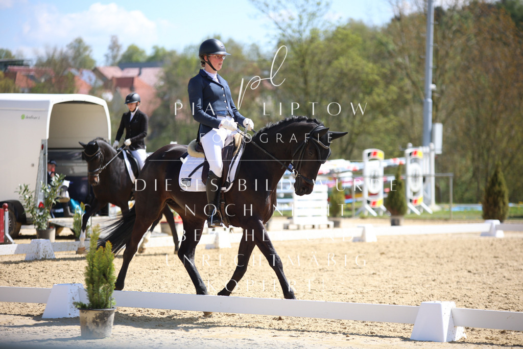 IMGT1989 | pl-fotografie