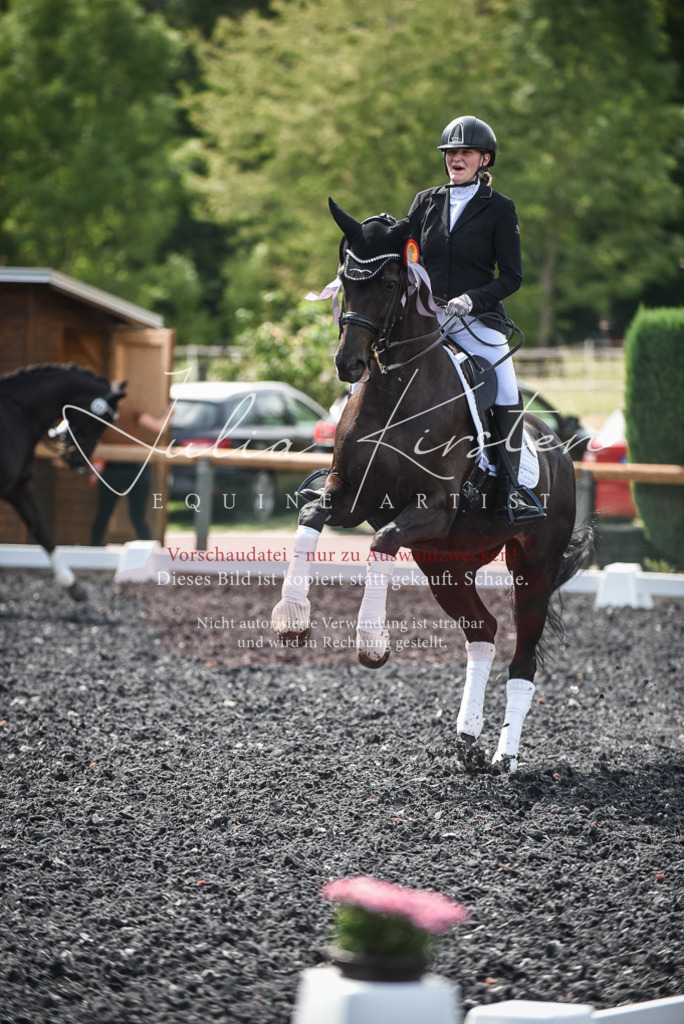 DSC_5188 | Pferde- und Turnierfotografie in Westsachsen. Pferdeportraits, Auftragszeichnungen und intuitive Kunst.