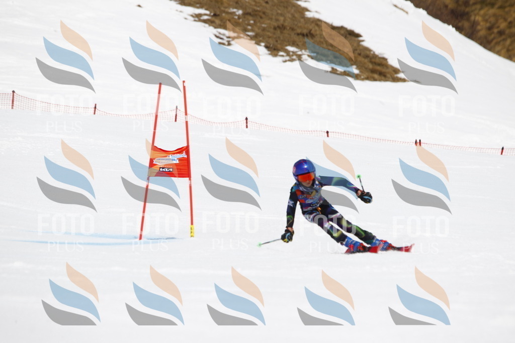 _U3G6666 | holidayphoto