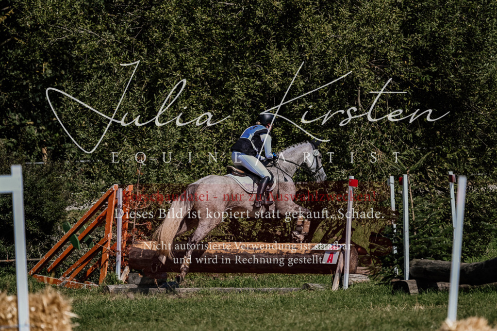 DSC_1410 | Pferde- und Turnierfotografie in Westsachsen. Pferdeportraits, Auftragszeichnungen und intuitive Kunst.