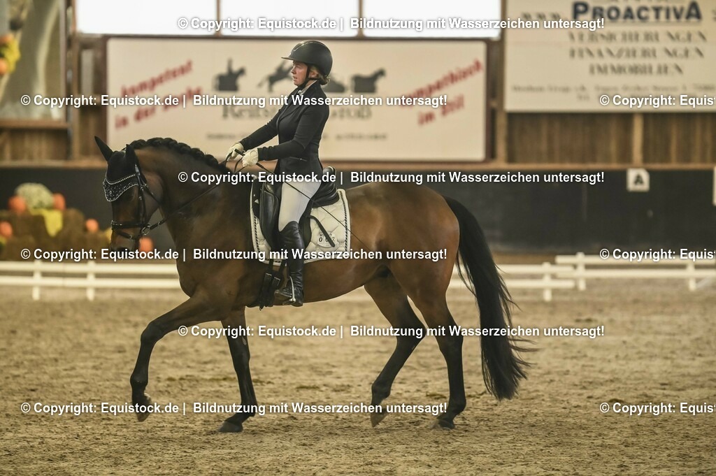 20231029_05_Dressur-A_0152 | Foto: Thomas Hartig