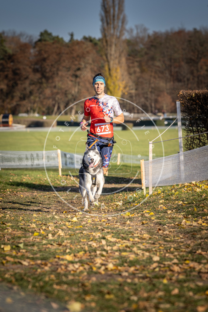 CaniXpix_DV3A0909 | Hundefotografie, Tierfotograf, Pfotenfotografie, Fotoshooting Hund, Hunde Portrait, Hundesport, Hundeportraits, Heideshooting, Hunde, Sportfotograf, Hundefotograf, Turnierhundsport, THS,  - Realisiert mit Pictrs.com