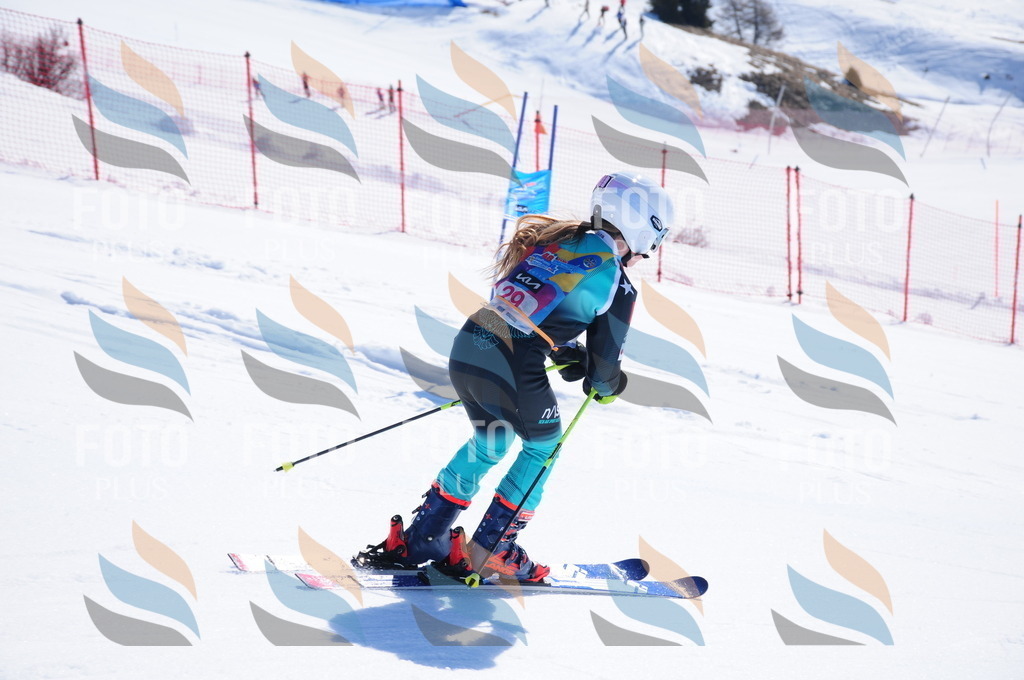 DSC_3923 | holidayphoto