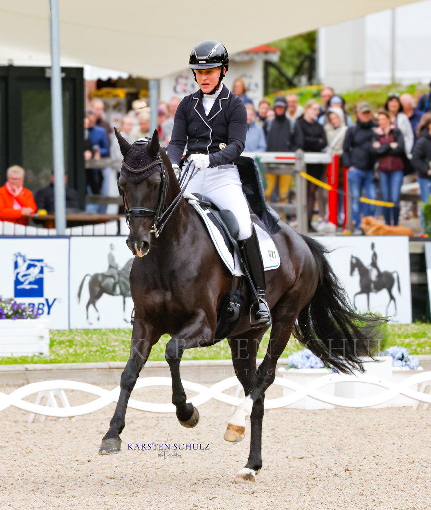1B3A7389 | Reitsport Reiten