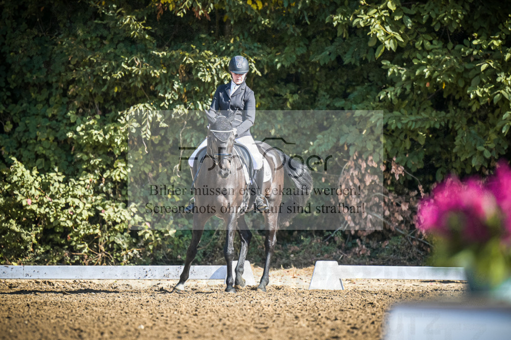 DOS_1545 | Entdecke hochwertige Reitturnierfotos von Foto Oger. Professionell, emotional und authentisch – jetzt Lieblingsmomente im Shop bestellen.Deutschlandweite Turnierfotografie. - Realisiert mit Pictrs.com