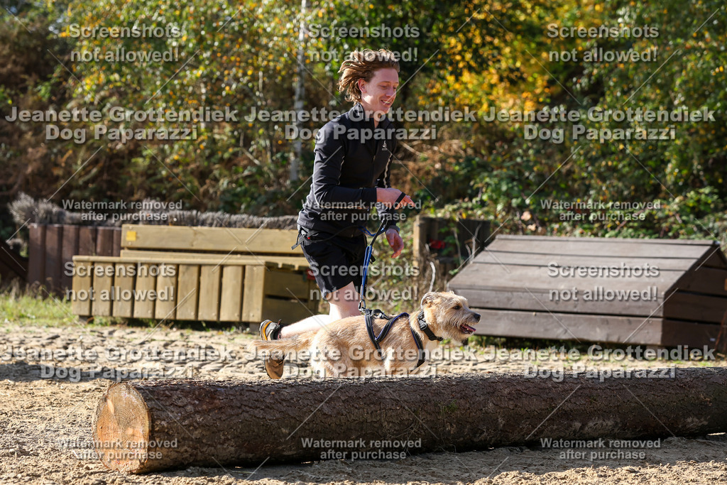 Dog Paparazzi - Strongdog 10-25-5975 | Dog Paparazzi Jeanette Grottendiek Fotografie & Videografie - Realisiert mit Pictrs.com