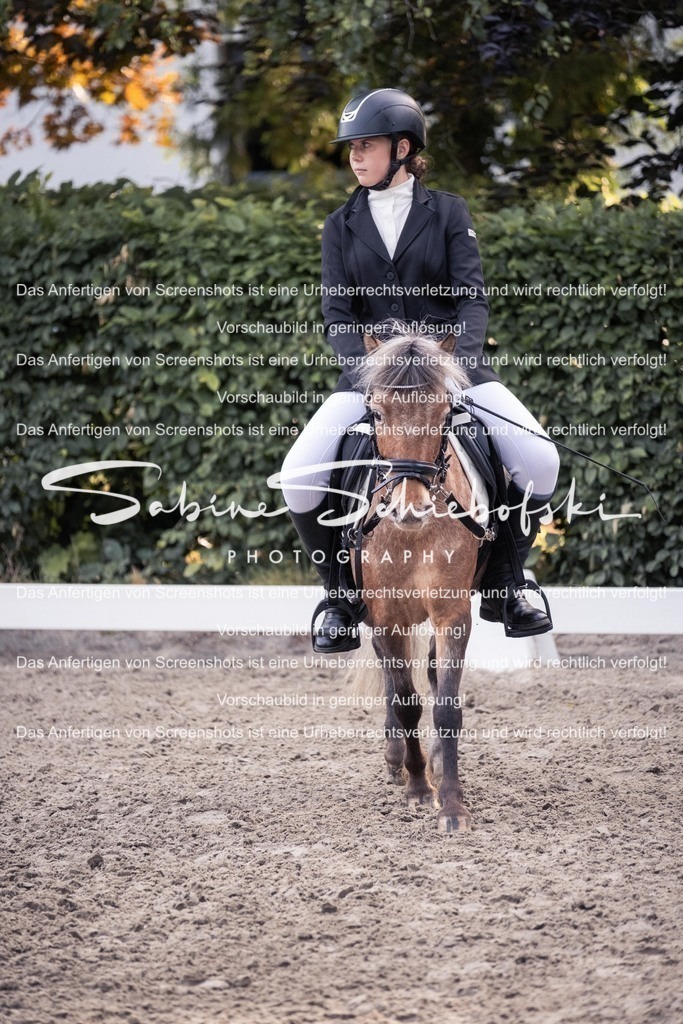 2025_05_31_DSCF2571 | People- und Tierfotografie, Imageaufnahmen, Veranstaltungsfotografie und Wandbilder aus der Natur ★ Made in Germany ✔️ Druck + Downloads ✔️ Naturfotografie in Top Qualität ★ schneller Versand, weltweite Lieferung! - Realisiert mit Pictrs.com