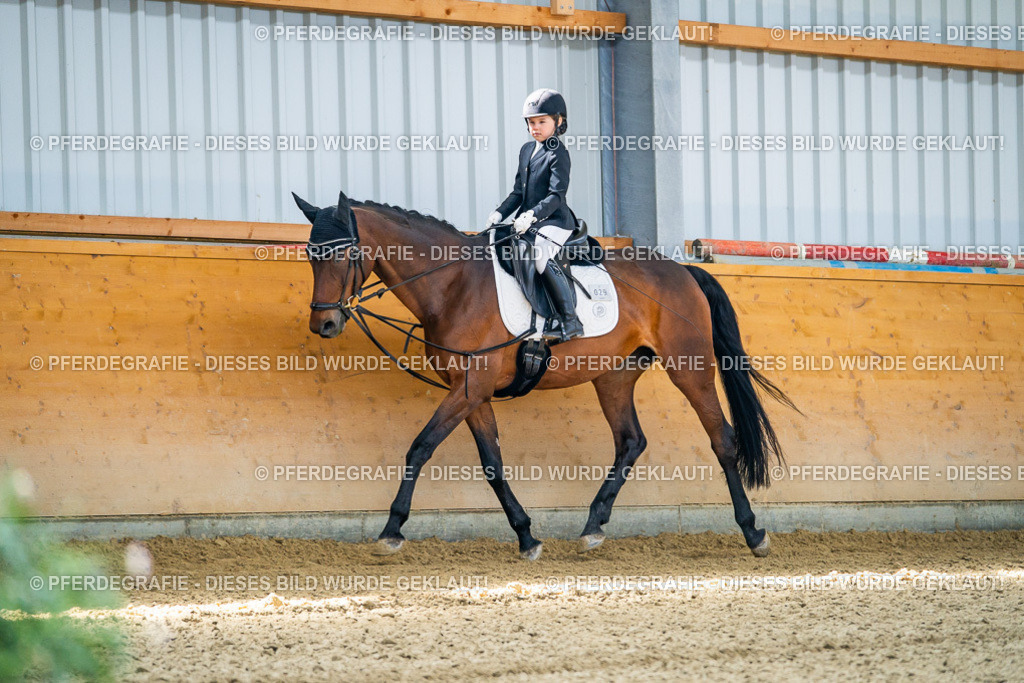 DSC02453 | Pferdegrafie