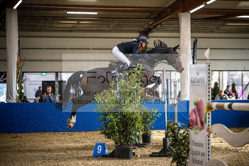 DOS_1979 | Entdecke hochwertige Reitturnierfotos von Foto Oger. Professionell, emotional und authentisch – jetzt Lieblingsmomente im Shop bestellen.Deutschlandweite Turnierfotografie. - Realisiert mit Pictrs.com