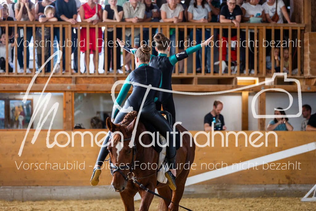 SS-Maxi-167 | MomenTaufnahmen Pferdesportfotos