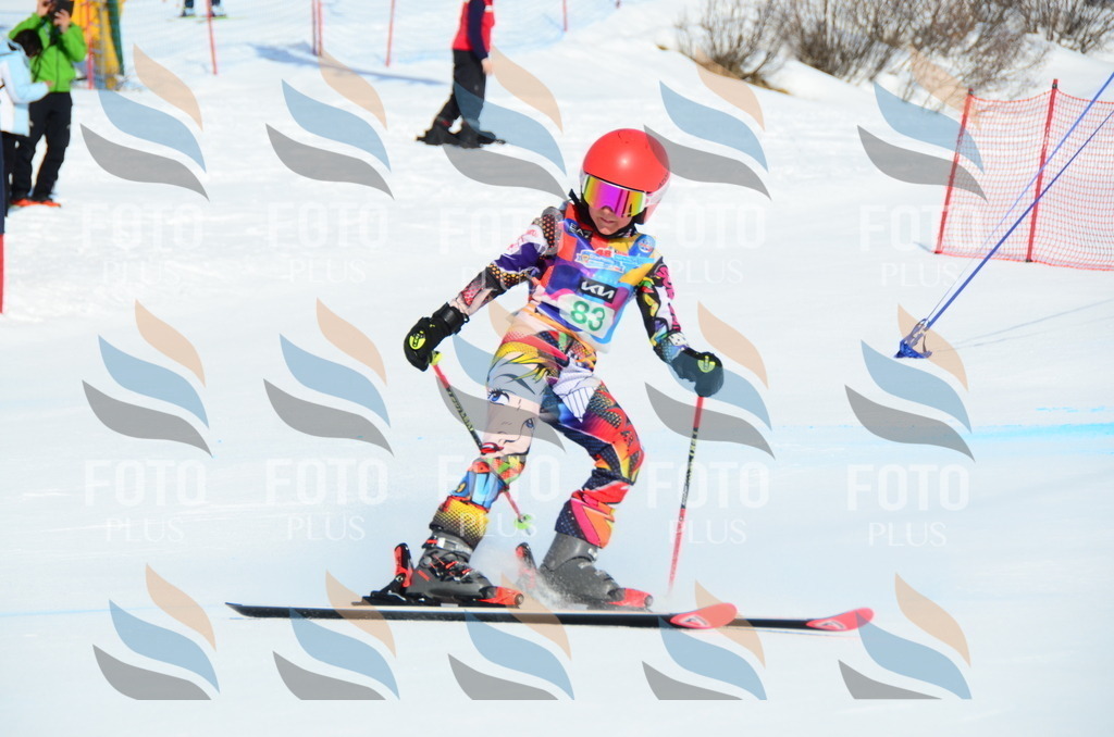 DSC_0522 | holidayphoto