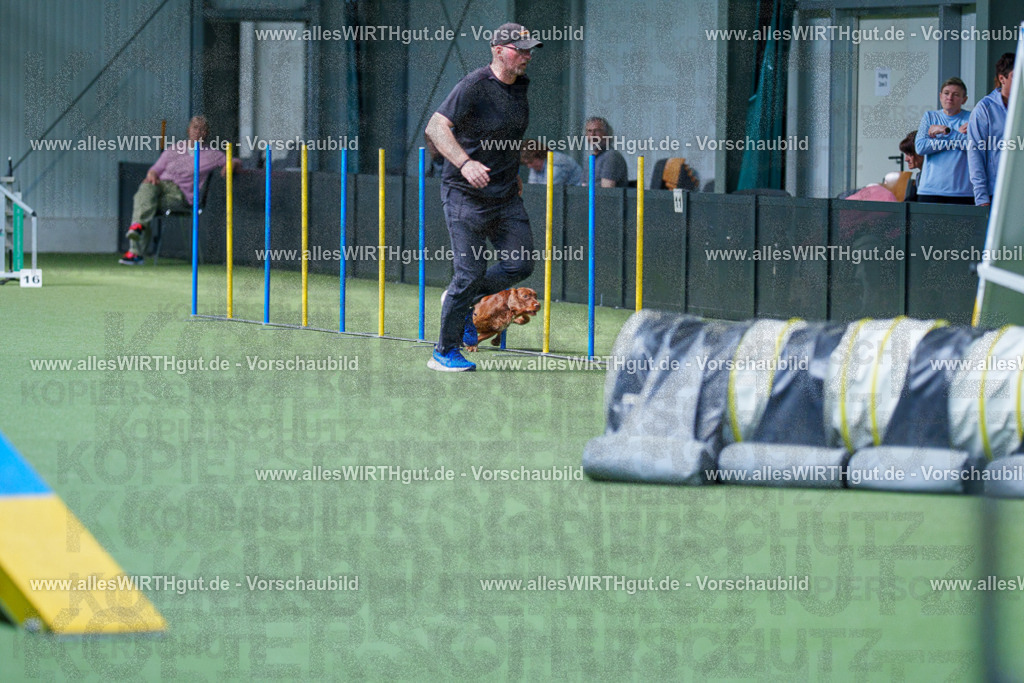 @allesWIRTHgut_Tierfotografie - www.allesWIRTHgut.de - 2604251446-7R505494 | Professionelle Tierfotografie in Mönchengladbach von Daniel Wirth (allesWIRTHgut). Liebevolle & natürliche Bilder von Hunden & Katzen für unvergessliche Erinnerungen.