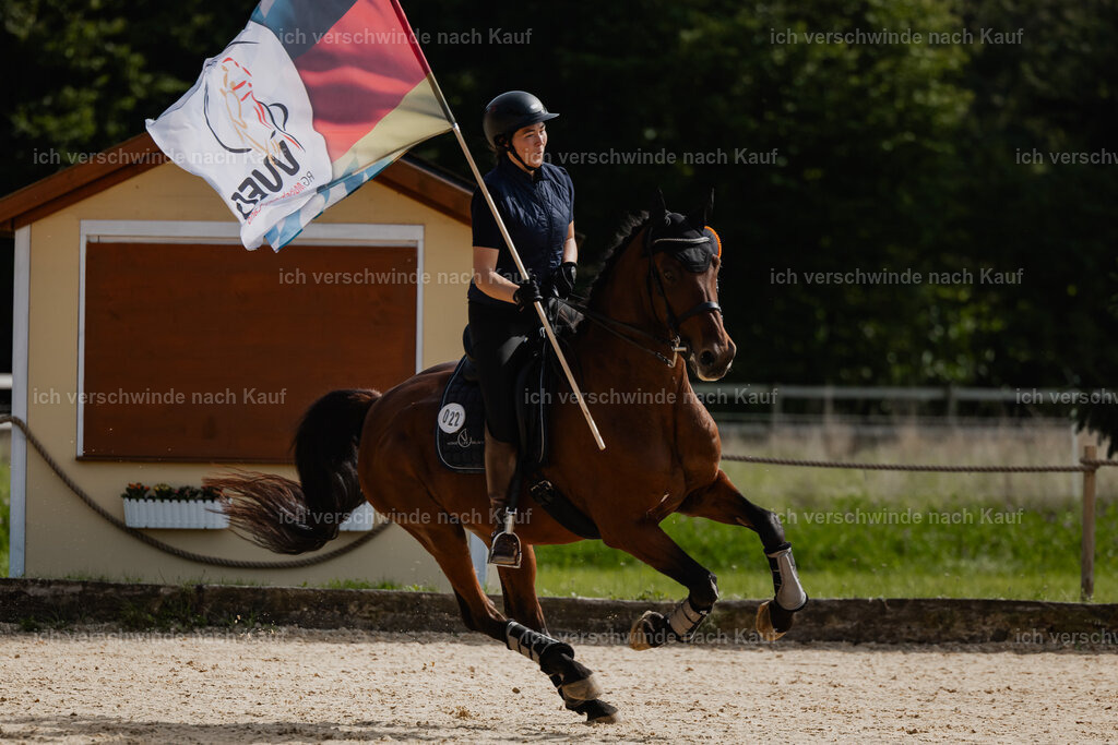 Nadine22_FHC2025-163 | working equitationturnier fotograf videograf stoibphotography marixx film working equitation deutschland reitsport turnierfotografie eventfotografie equestrian events