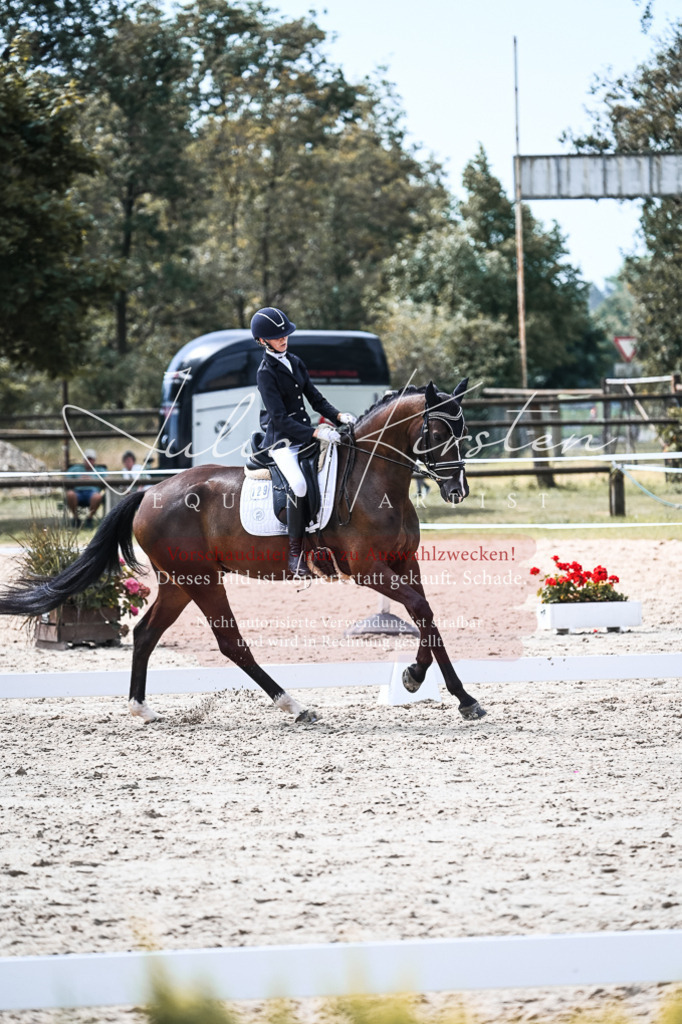 DSC_5208 | Pferde- und Turnierfotografie in Westsachsen. Pferdeportraits, Auftragszeichnungen und intuitive Kunst.