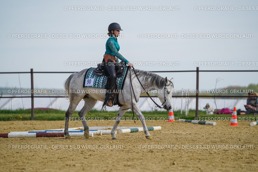 DSC04628 | Pferdegrafie