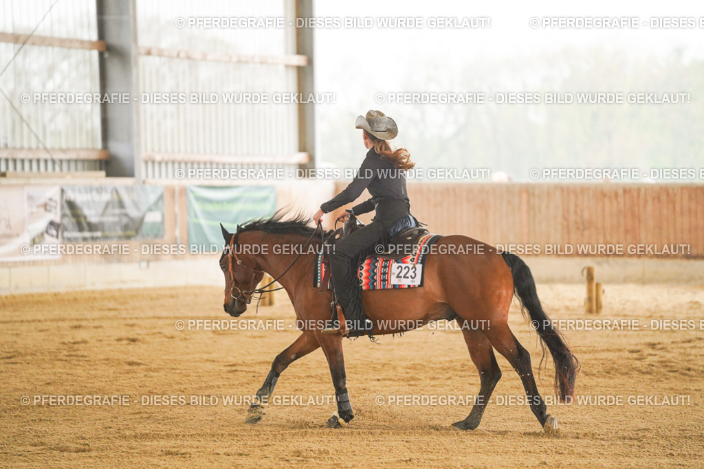 DSC09914 | Pferdegrafie