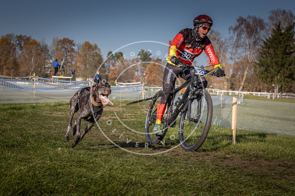 CaniXpix_0L8A7568 | Hundefotografie, Tierfotograf, Pfotenfotografie, Fotoshooting Hund, Hunde Portrait, Hundesport, Hundeportraits, Heideshooting, Hunde, Sportfotograf, Hundefotograf, Turnierhundsport, THS,  - Realisiert mit Pictrs.com